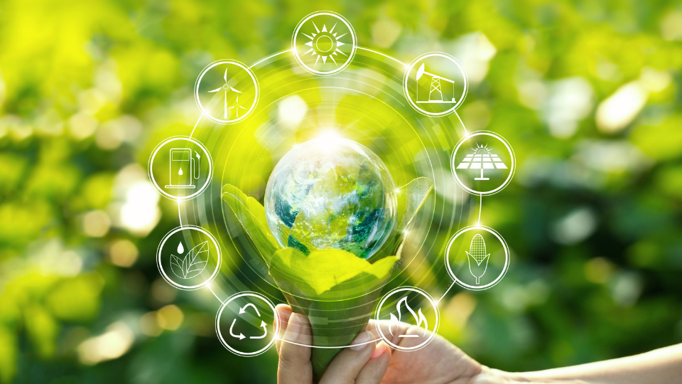 Cuáles serán las tendencias en materia de sostenibilidad para este 2023